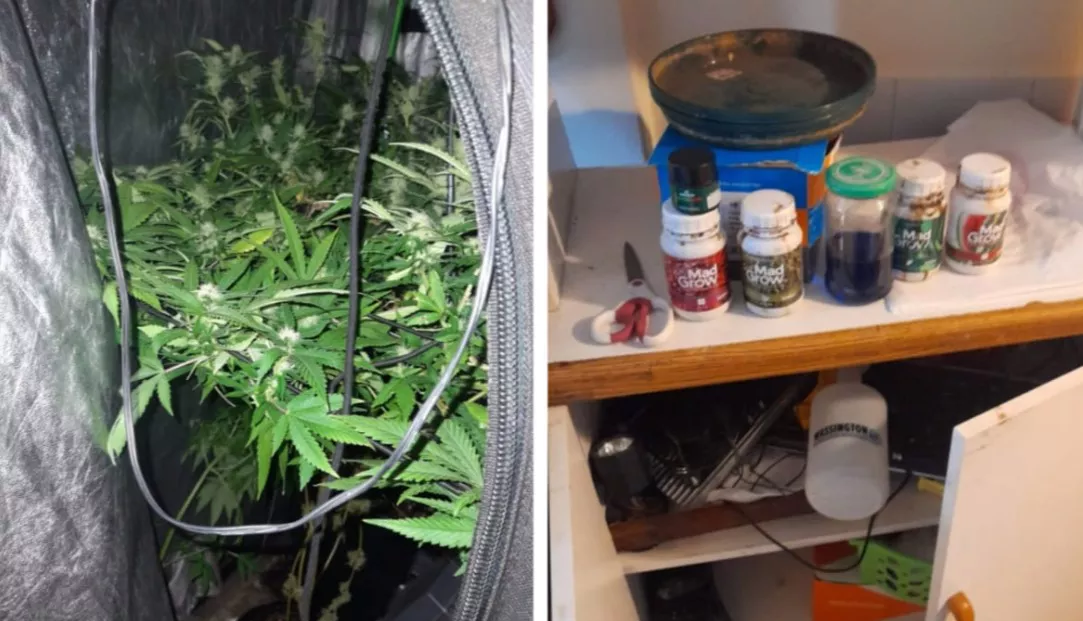 Allanamiento Pasaje Radking