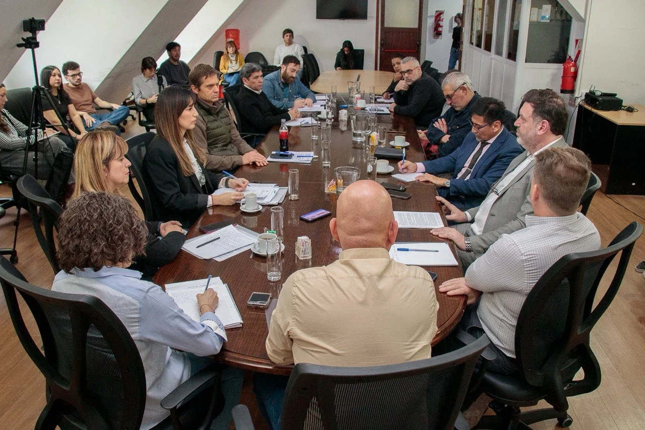 reunión de la Comisión Especial LEOLABS