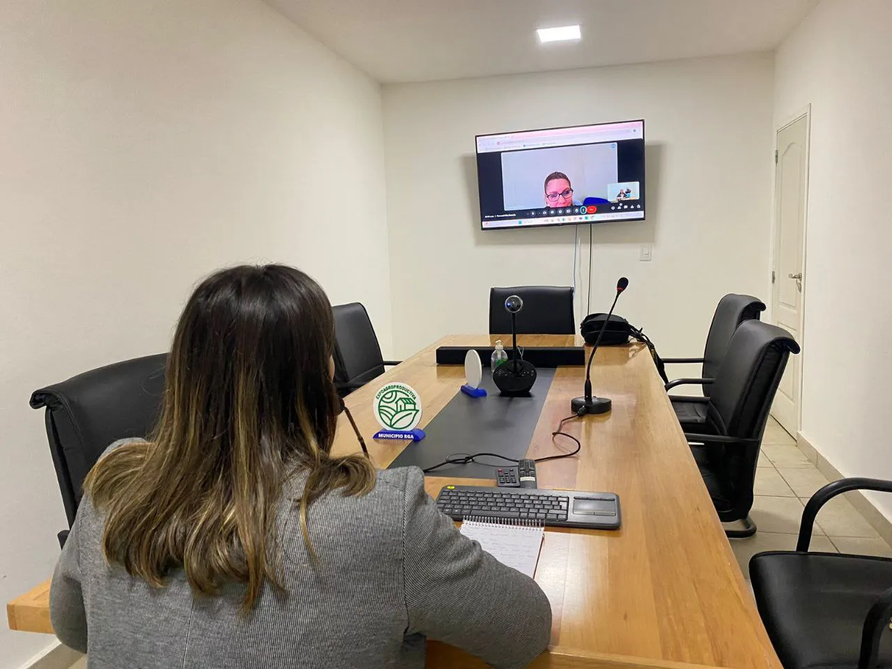 Javiera Torres Villegas