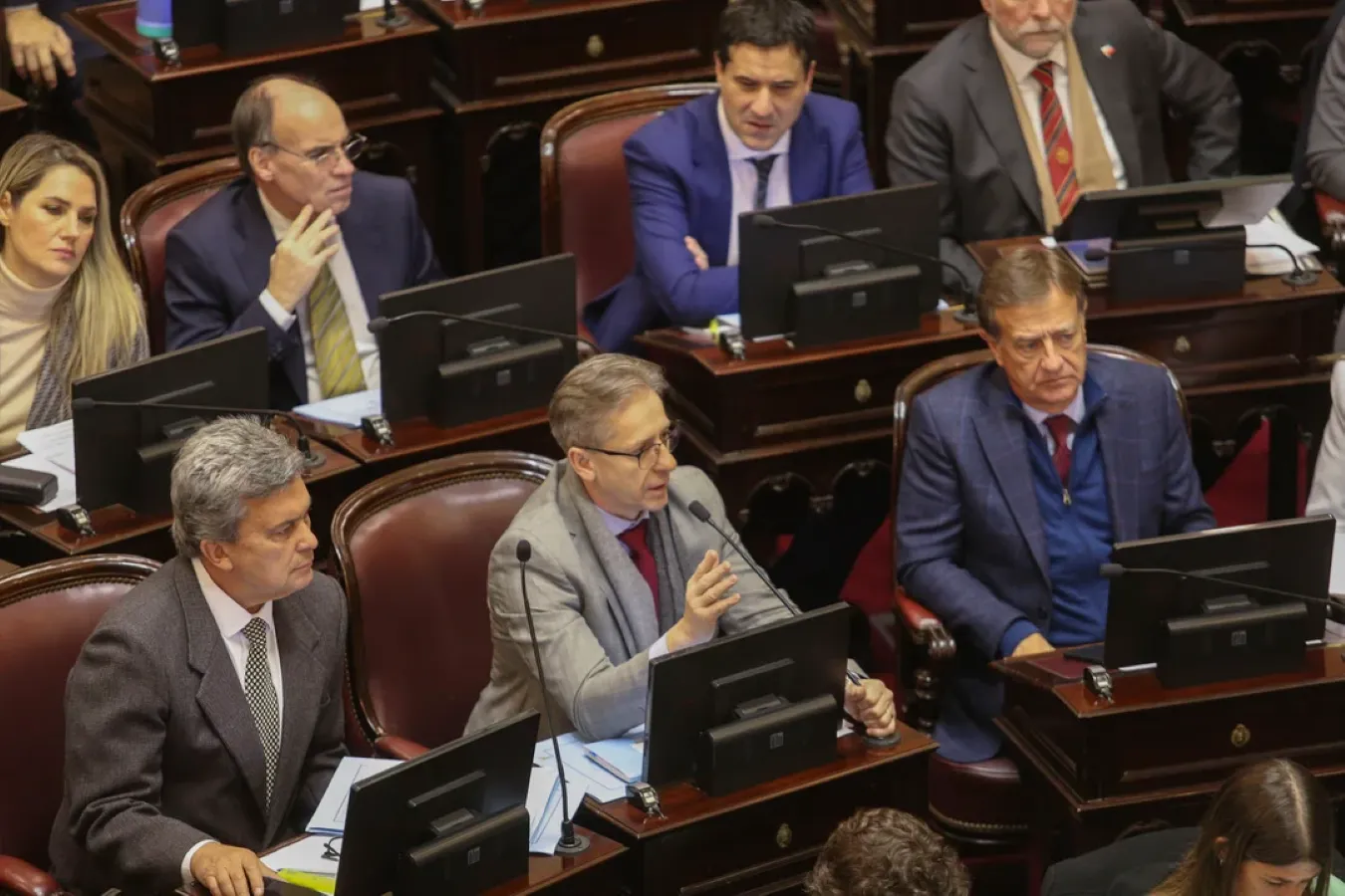 Senadores bloque de la UCR