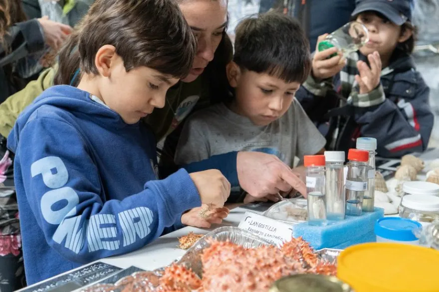 Semana Fueguina de la Ciencia y la Tecnología