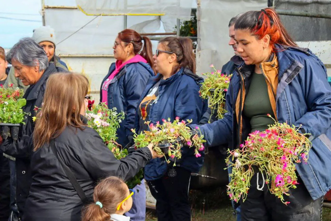 Entrega plantines 2023