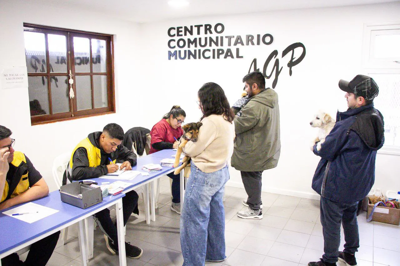 vacuxacion