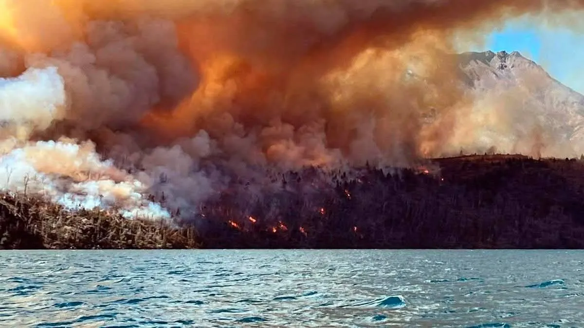 Incendio Forestal Chubut- Cholila