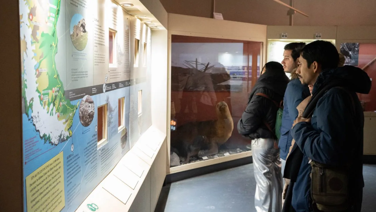 Noche de los Museos- GOB