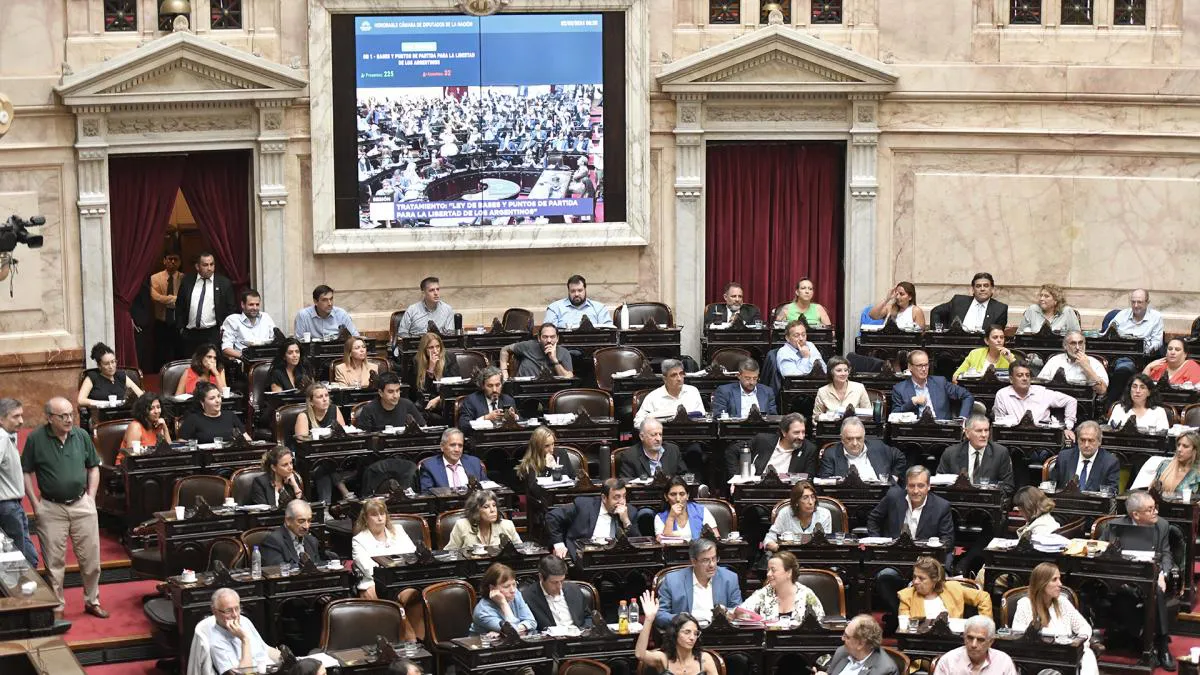 Diputados Ley Bases
