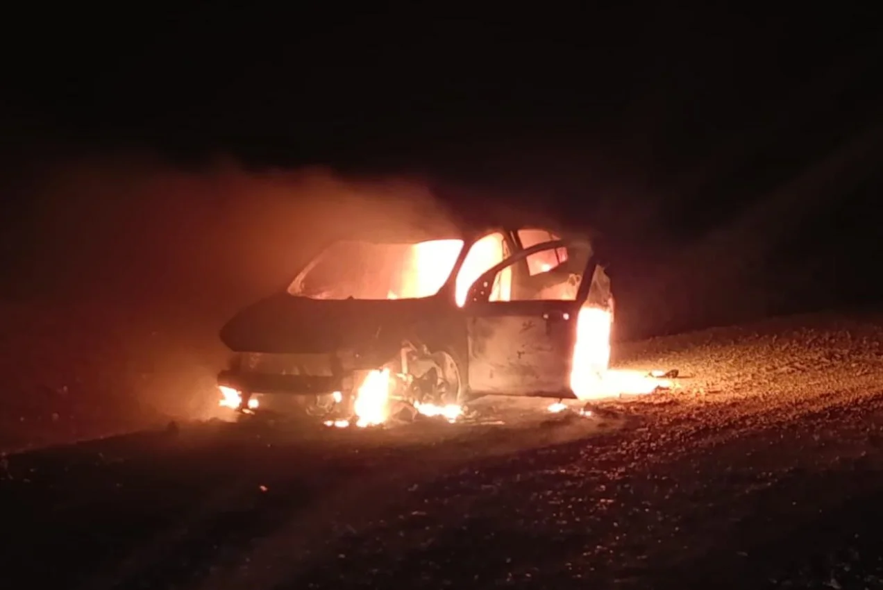 Incendio ruta provincial 8