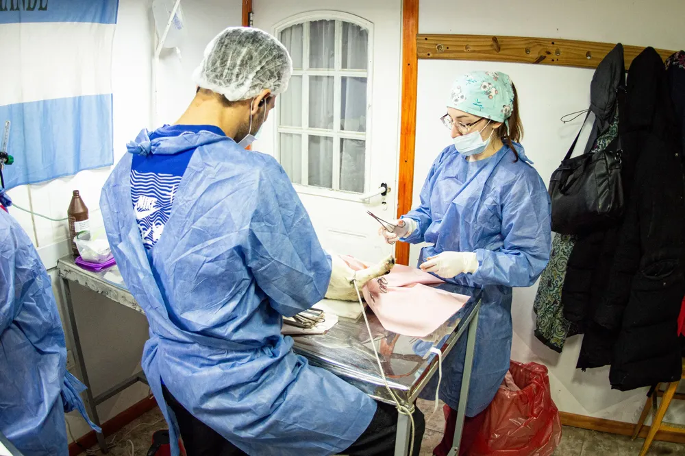 Jornada de Castración