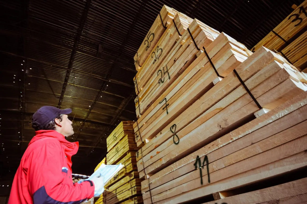 TDF EXPORTA PALLETS DE LENGA SANTA CRUZ