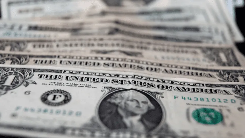 Dólar colección