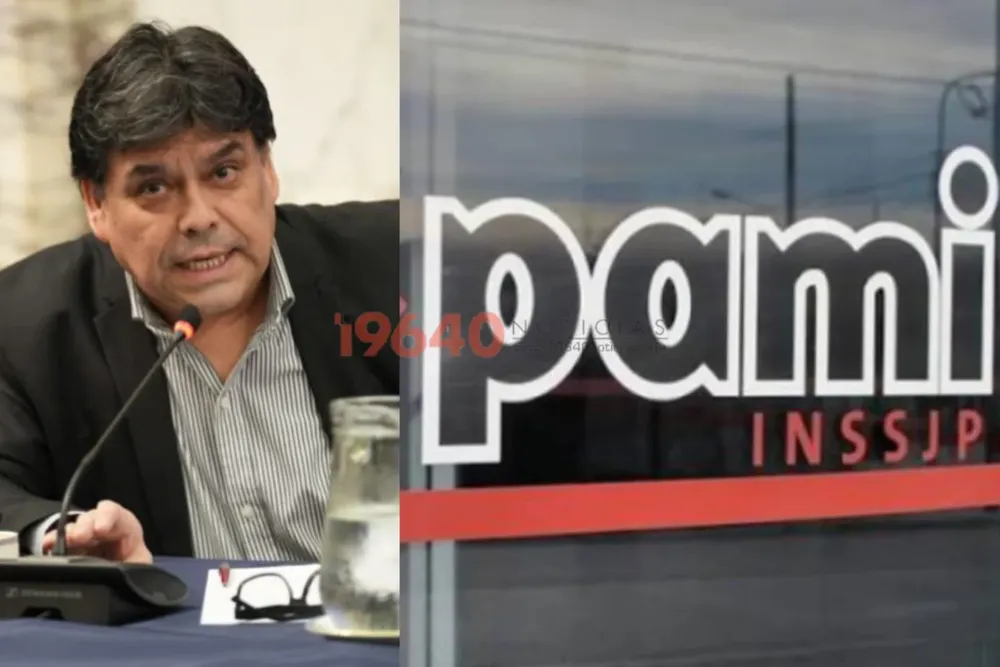 ARAUJO PAMI