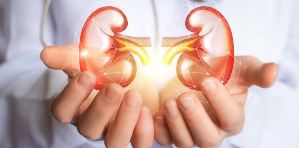 cancer renal