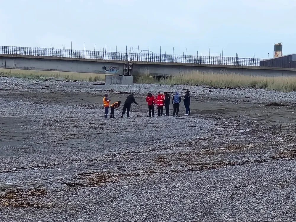 Hallan restos humanos