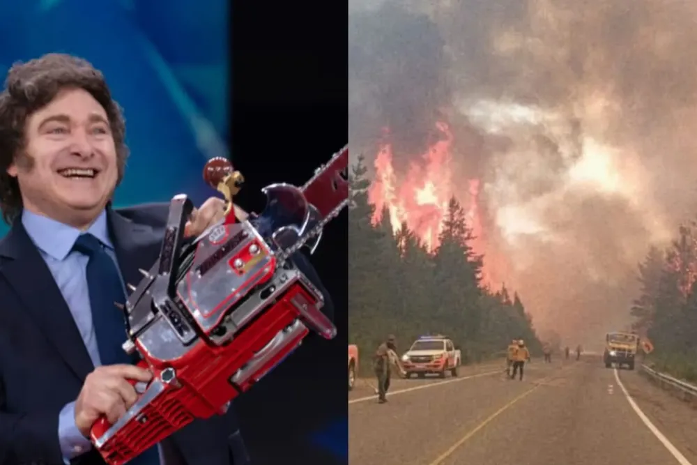 Incendios Chubut- Milei