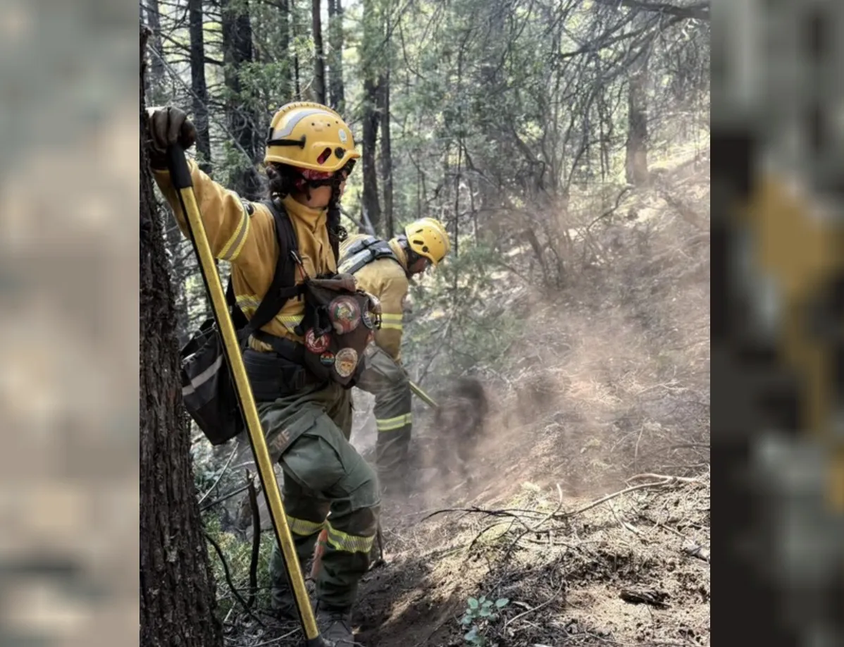 Incendio- Los Alerces- 