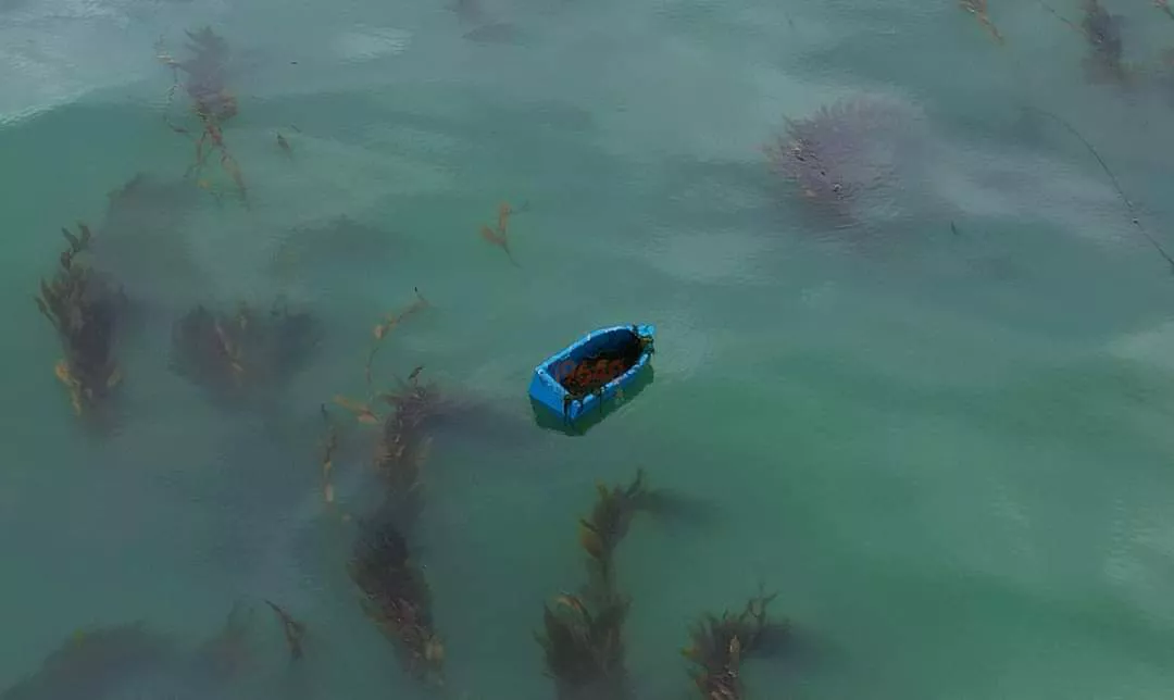 FB_IMG_1643908578850