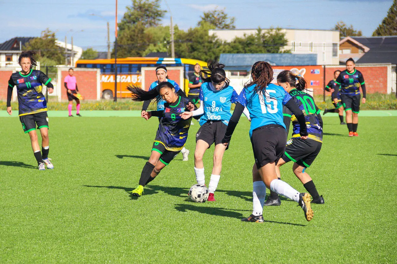 Juegos de la Araucania