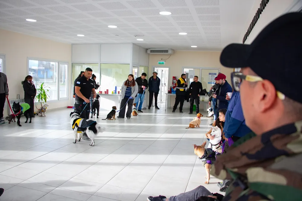 adiestramiento canino