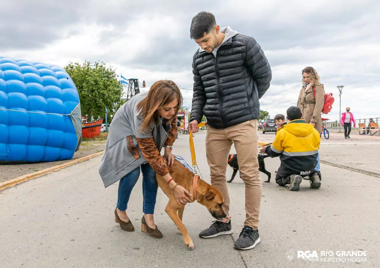 Adopción de Mascotas
