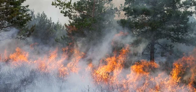 Incendios Chubut