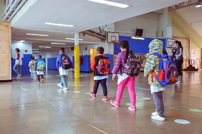 Alumnos primaria
