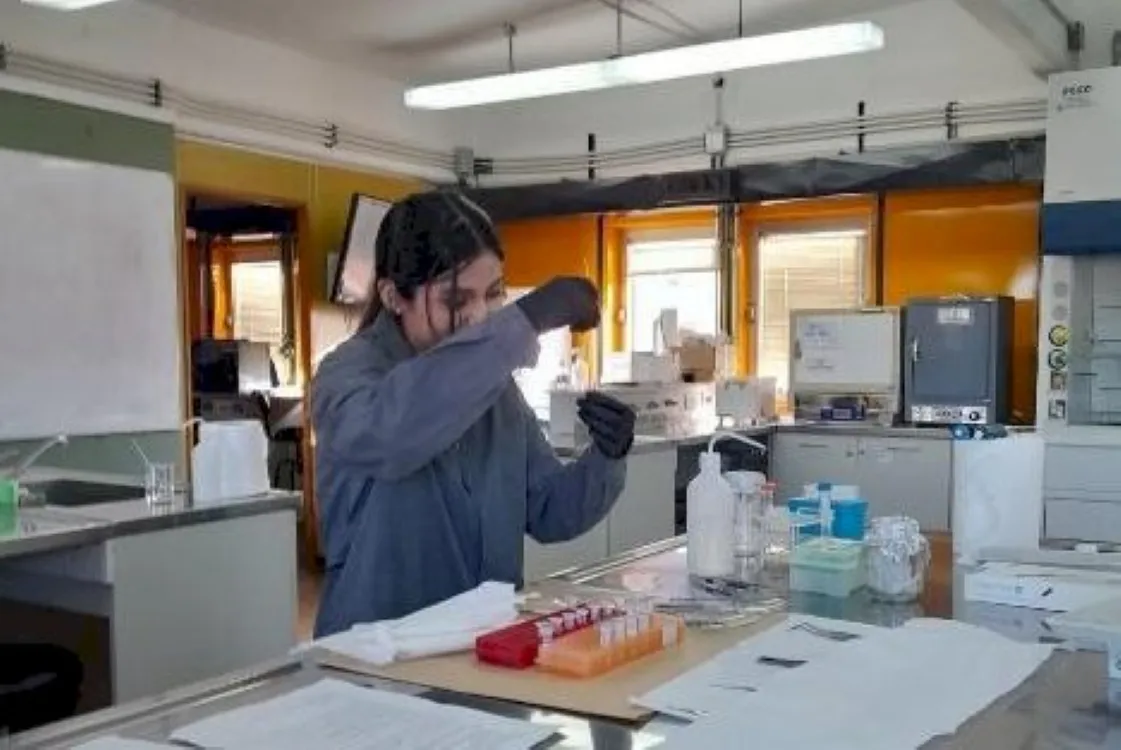 Trabajo de investigación UNTDF