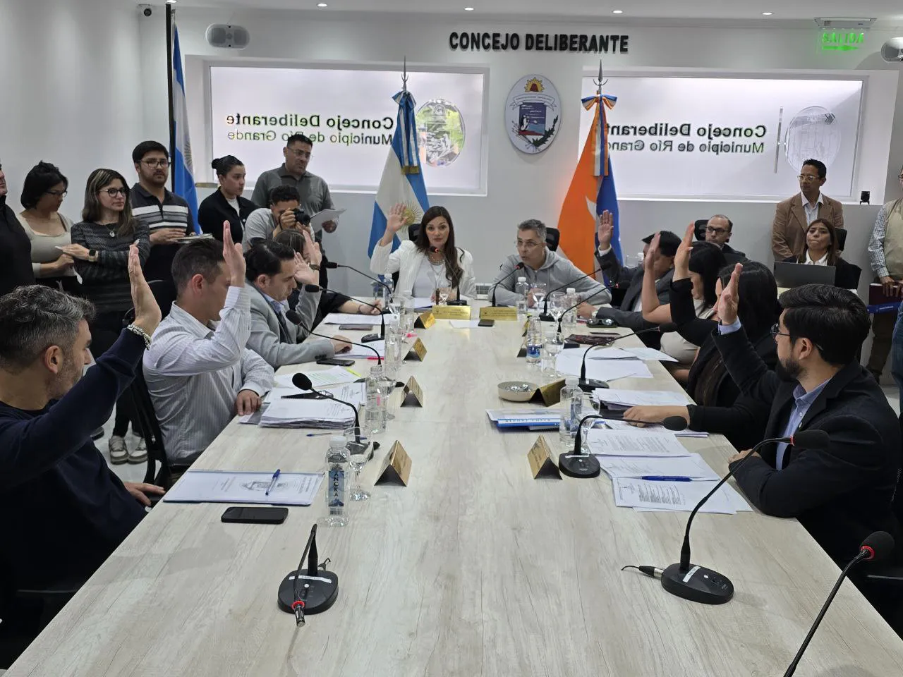 IX Sesión Ordinaria