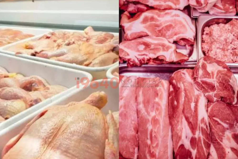 Carne de pollo y vacuna