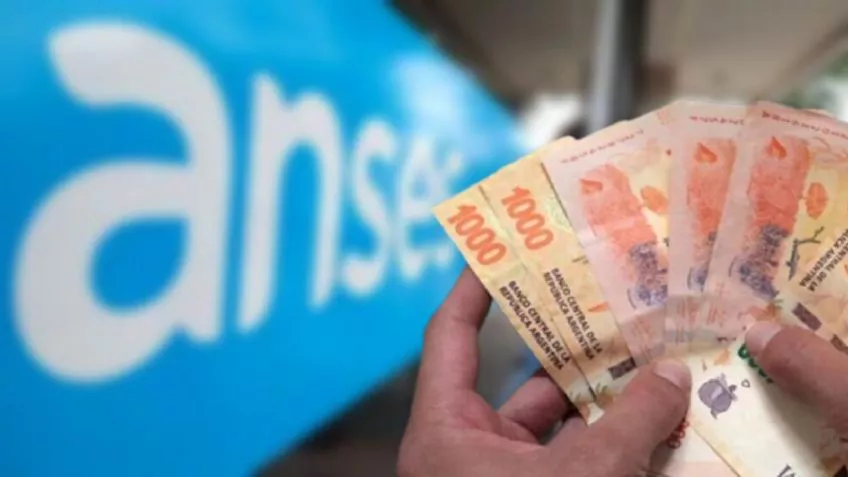 Anses marzo 2022