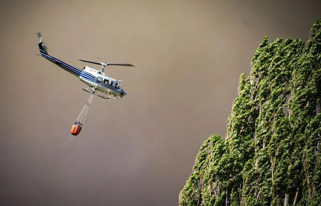 Incendio Forestal Neuquén