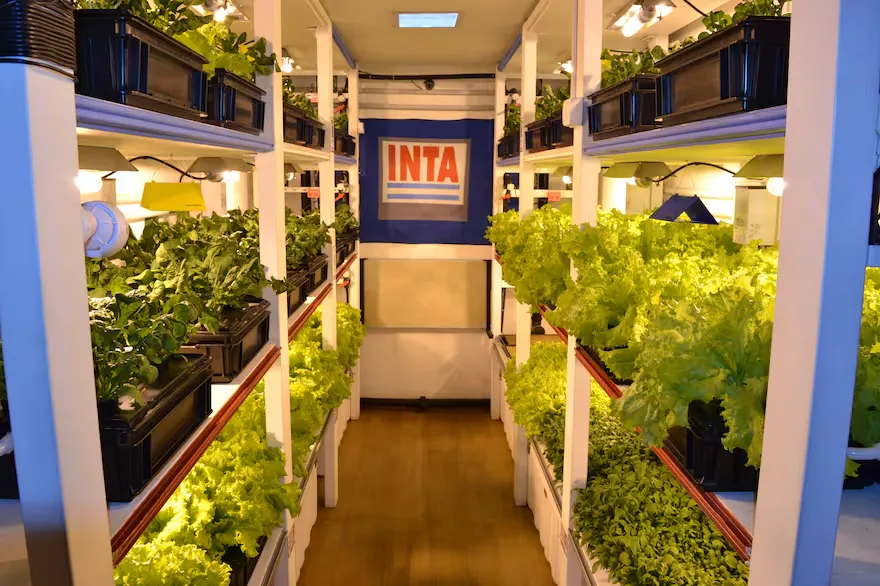 Verduras Antártida