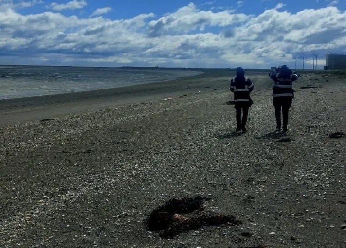 55f9c31d-4d78-4d5c-8062-194cfaea6c4c