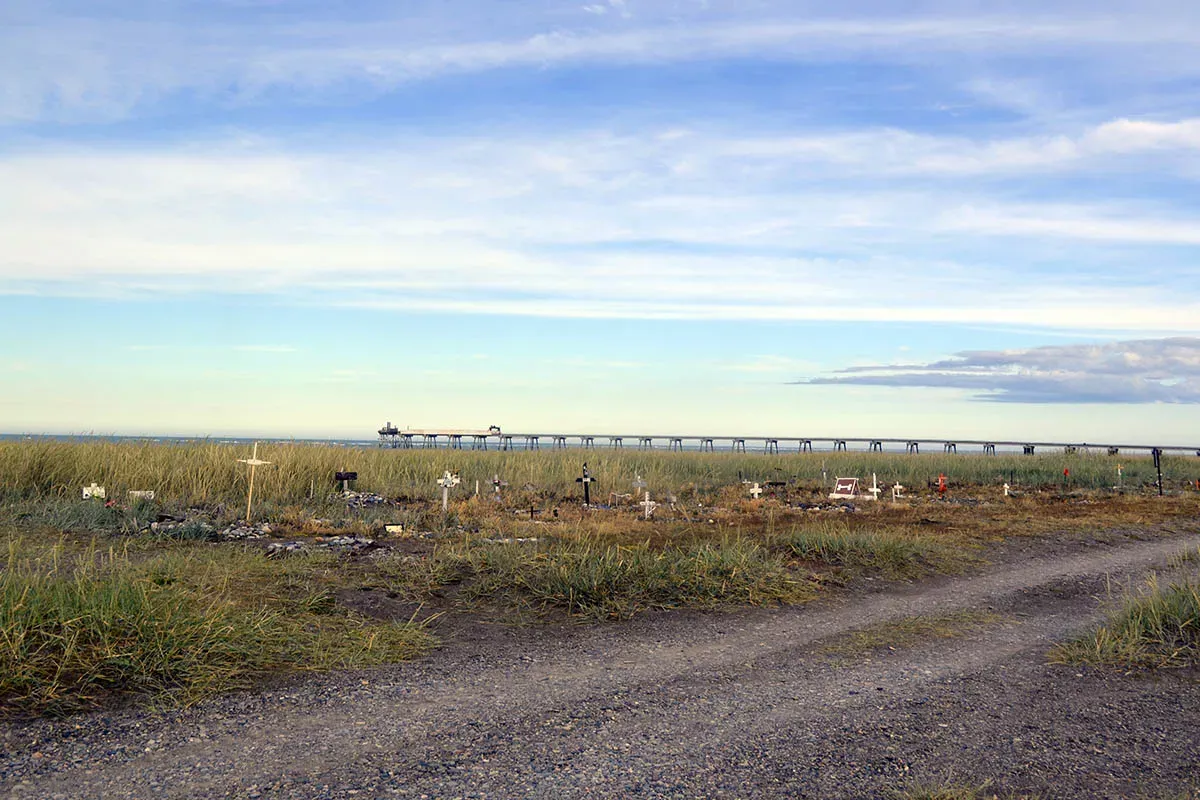 Cementerio de Animales- RG
