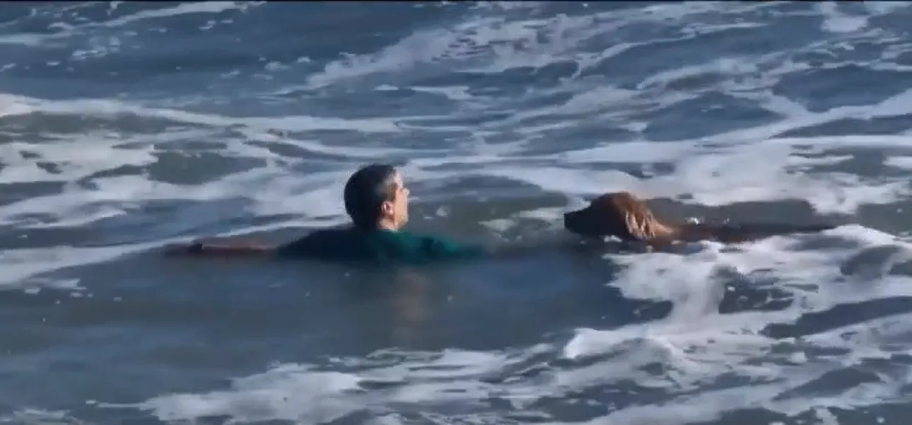 Rescate perro MAR DEL PLATA