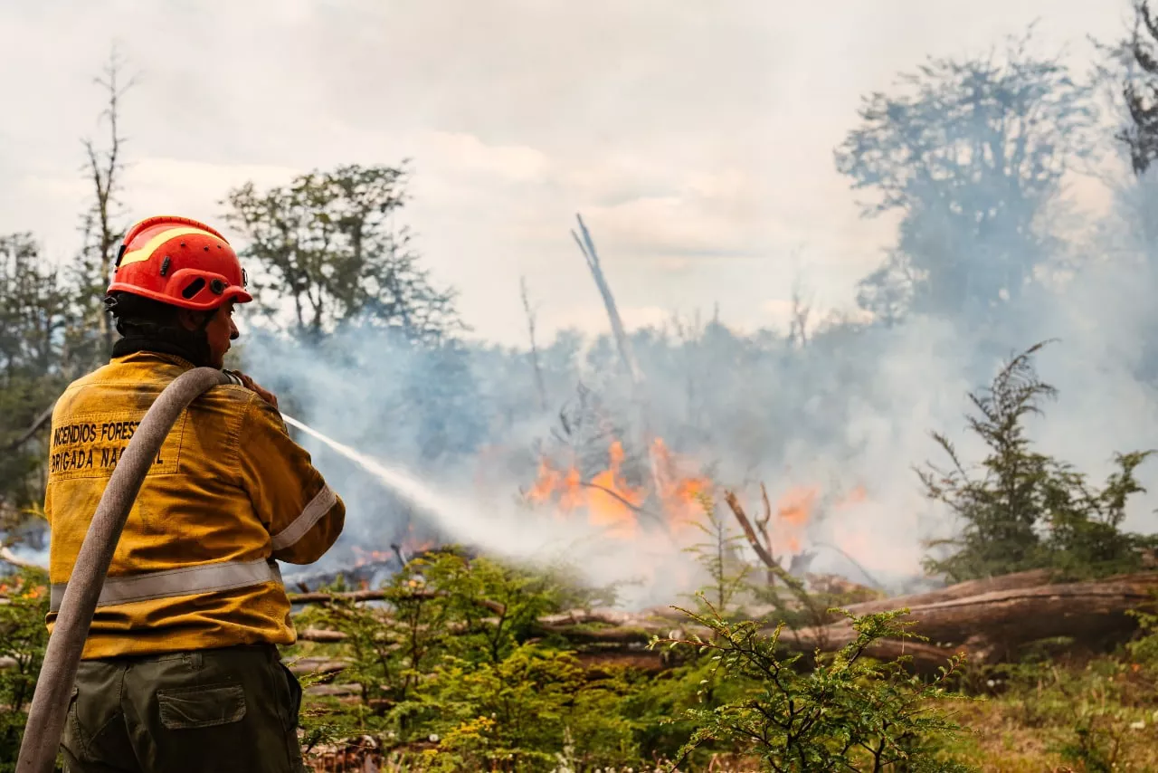 Incendio forestal Tolhuin (2)