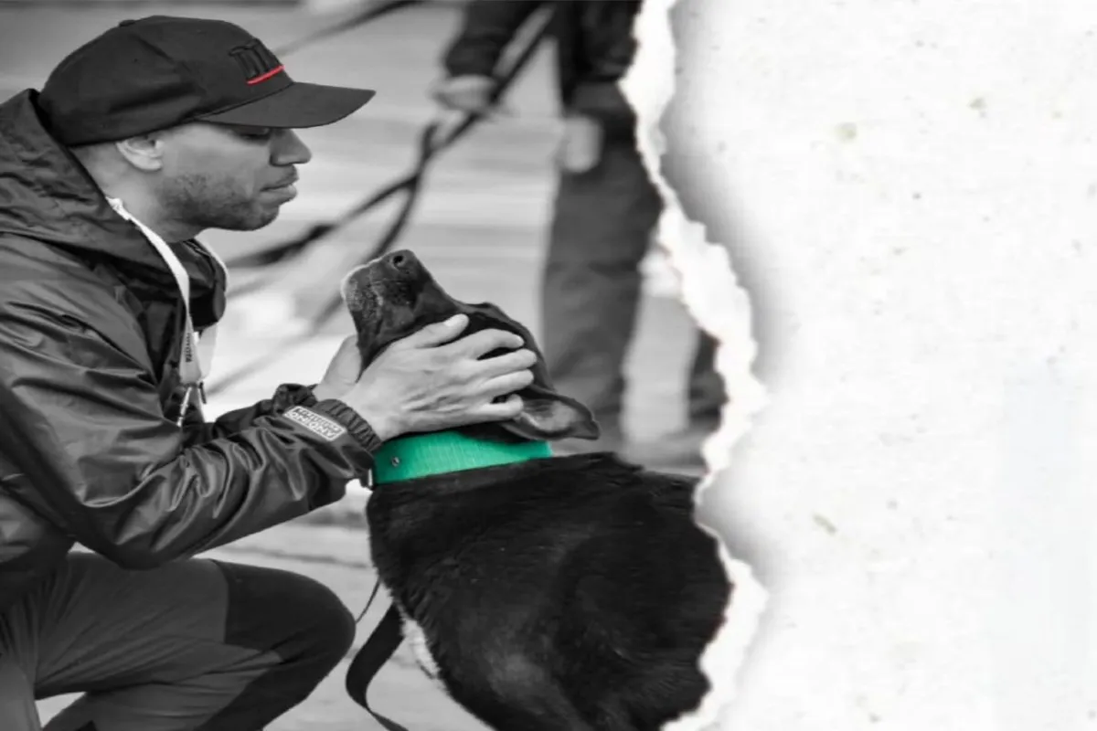 educación canina tenencia responsable tolhuion (1)