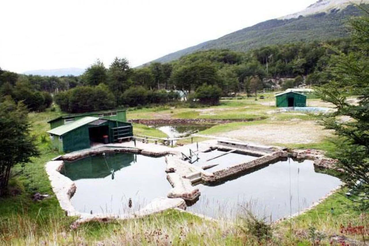 Termas del Río Valdez