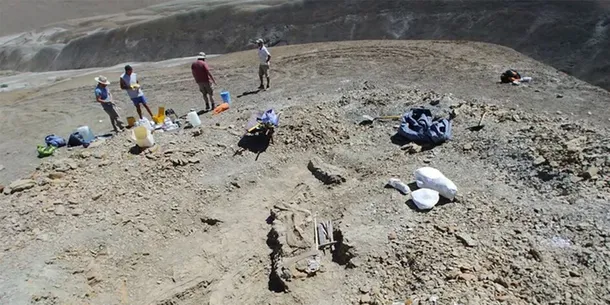 cientificios-conicet-titanosauriojpg