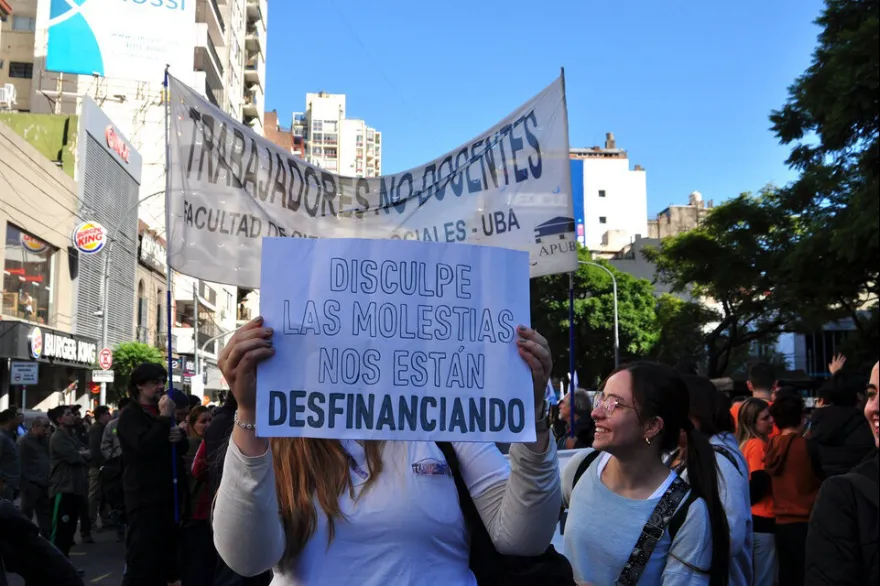 docentes universitarios