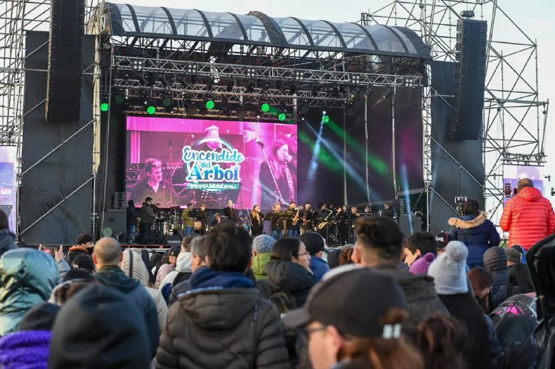 Previa encendido del Árbol