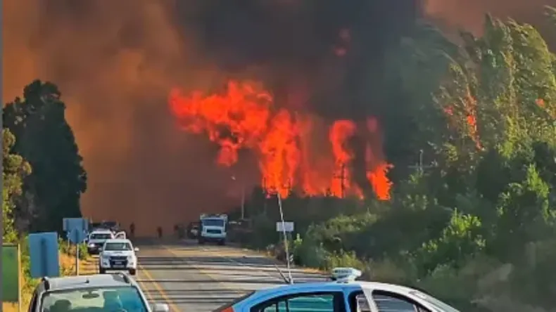 incendio-el-bolson-31-1-25png