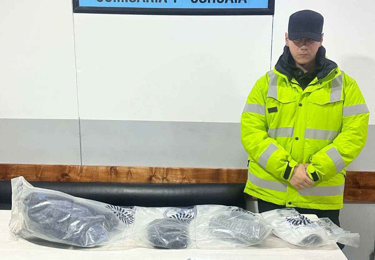 Allanamiento robo celular Ushuaia