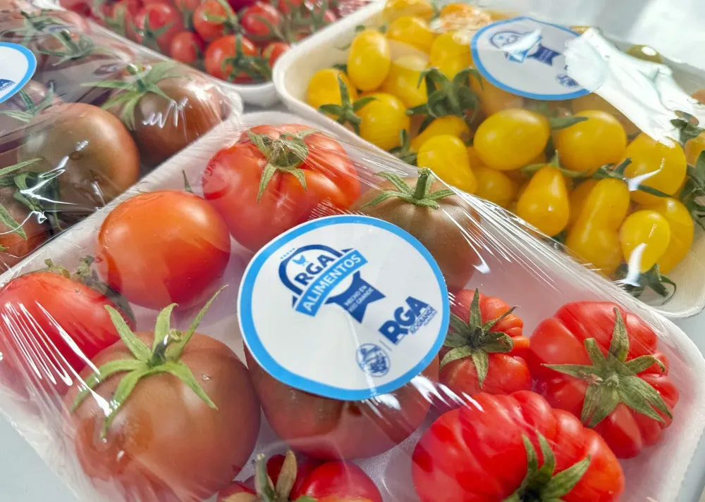 tomates