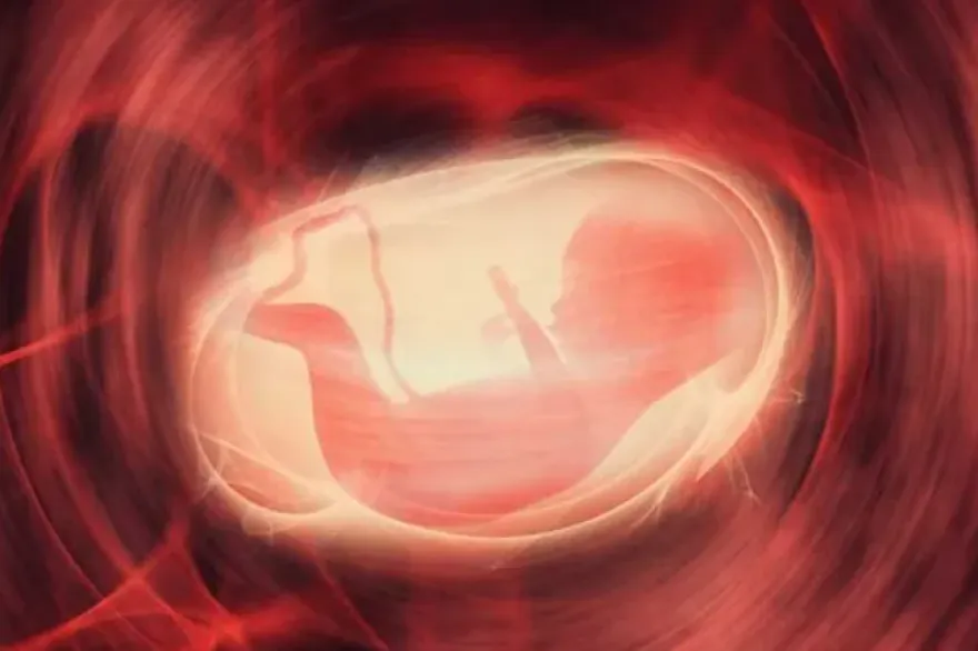 día fertilidad