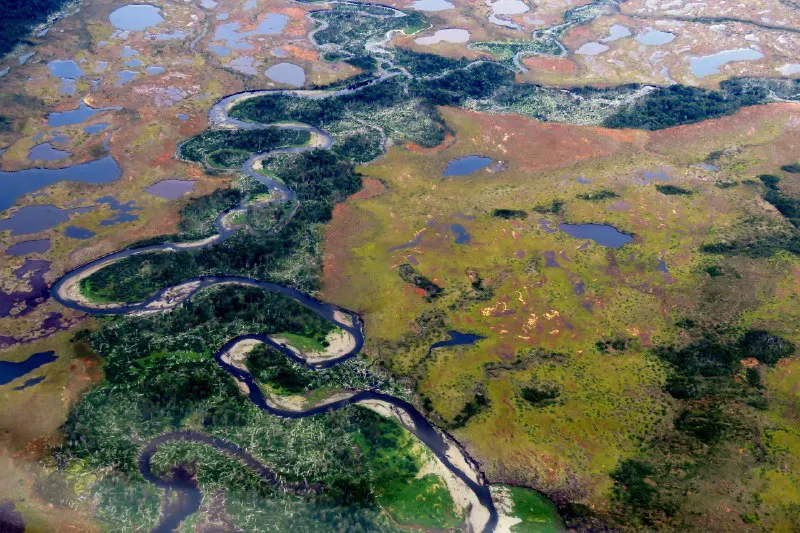 Área Natural Protegida Península Mitre