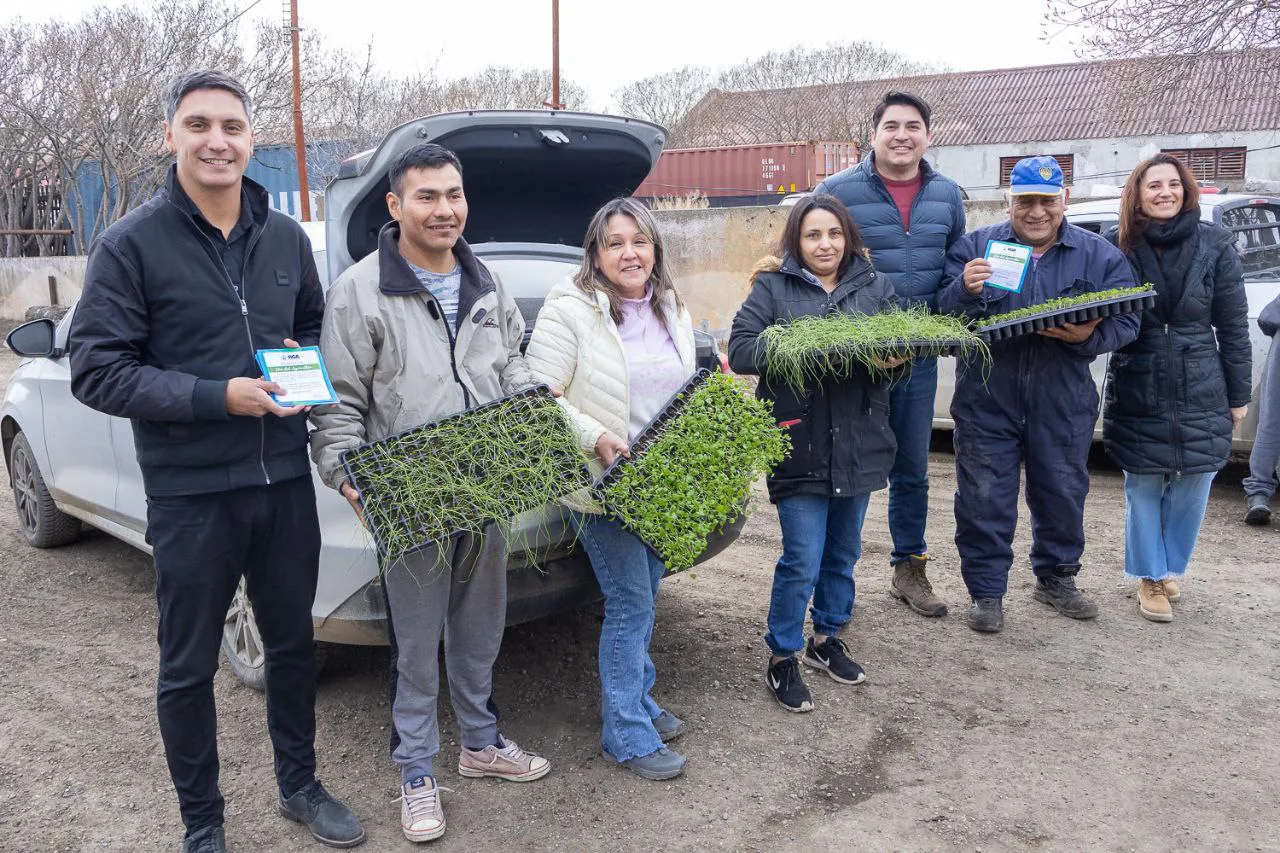 RGA Agroproductiva- Plantines