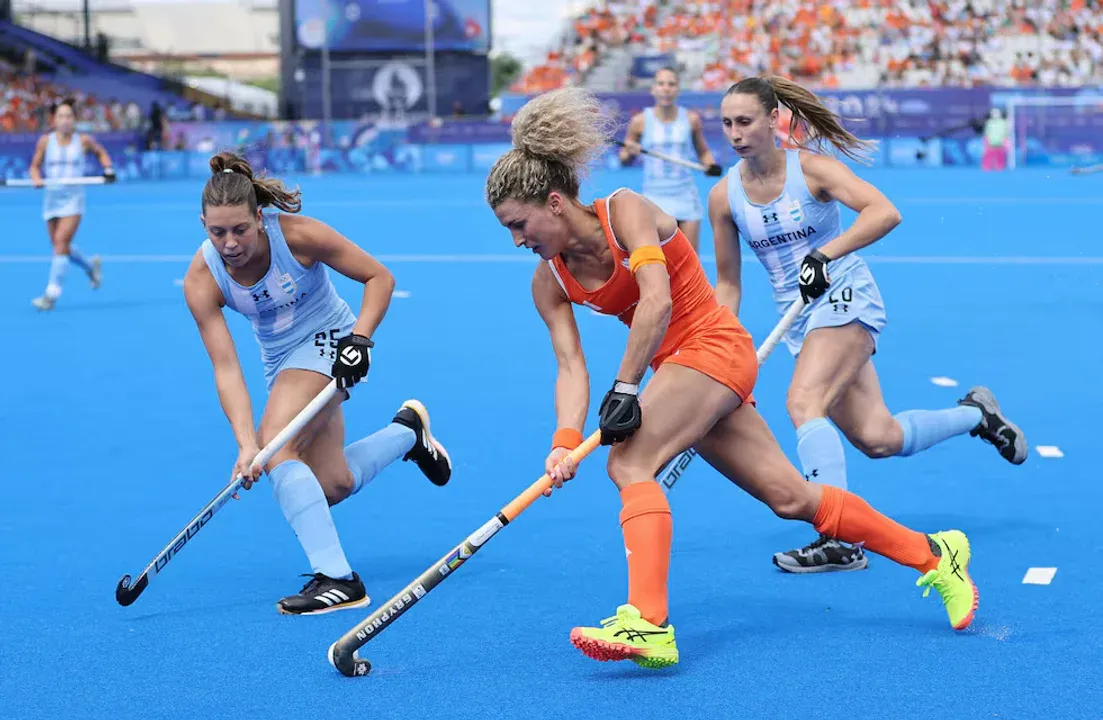 Leonas, Países Bajos