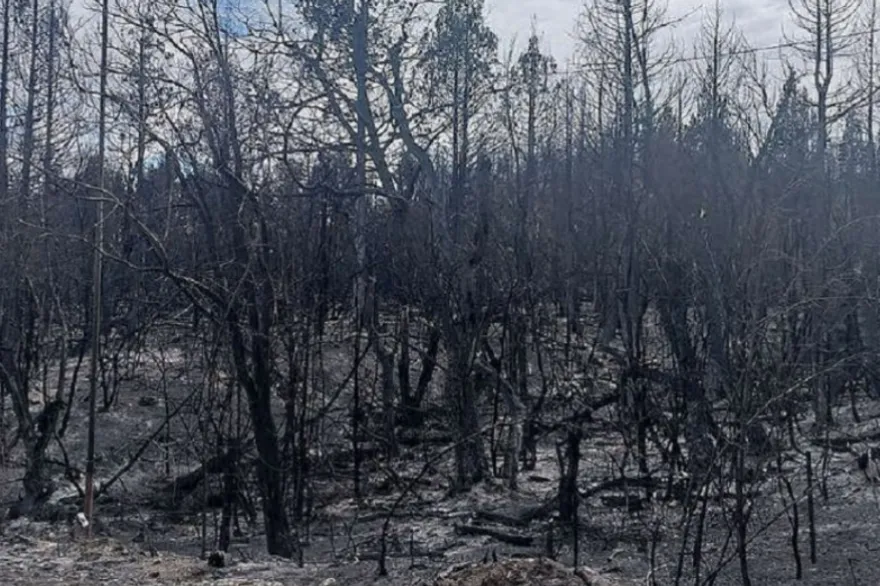 incendio el bolsón
