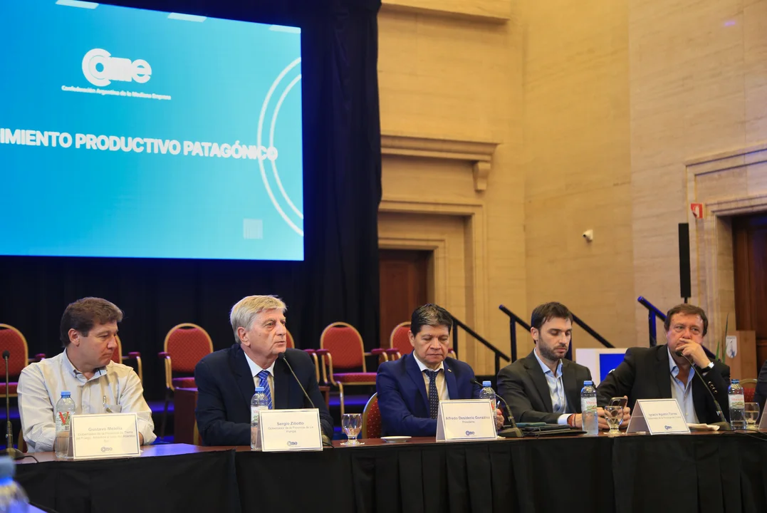 Gobernadores patagonicos