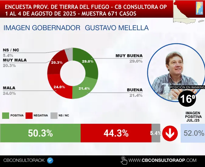 Captura de pantalla 2025-08-05 122636